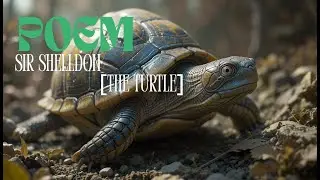 Sir Shelldon  [ THE TURTLE ] | KIDS Rhymes