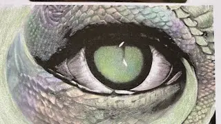 Coloring Iridescent Dragon Scales