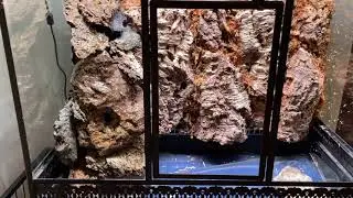 Wardian Case Waterfall 2021 08 21