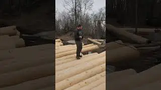 Building a Log Cabin Ep.16