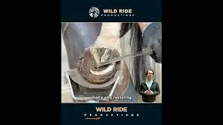 Extremely Over Grown Hoof &ndash;Satisfying Repair! #farrierskills #horsecare #hoofrestoration #trim
