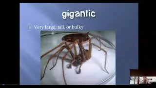 Vocabulary Intro----Seeing Stars