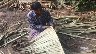 Survive the dead Palm leaf | When the time comes | Animal Catching Technology
