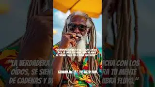 Let the weed bun 🎵 Taiwan Mc 🎧 #reggae #chill #music