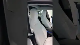 TAPTES- Tesla White Seat covers
