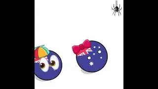 Australia & New Zealand Spider Spotted #countryballs