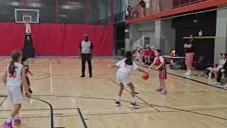 NH Heat vs Toronto Huskies U11 part 7