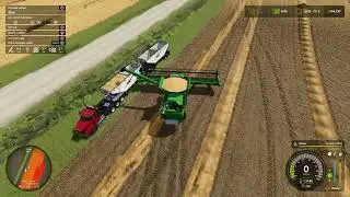 starting an alma farm