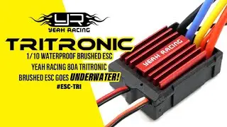 YR Tritronic 80A Brushed WaterProof ESC in Action |  RC Car Speed Controller