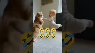 #viral#fighterbaby🤣🤣🤣🤣🤣🤣🤣🤣🤣🤣🤣🤣🤣🤣🤣🤣🤣🤣🤣🤣🤣🤣🤣🤣🤣🤣🤣