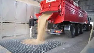 Grimme Multitrailer 350 transportiert Weizen