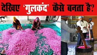 गुलकंद के फायदे | gulkand recipe | gulkand kaise banate hai | gulkand ladoo | gulkand lassi