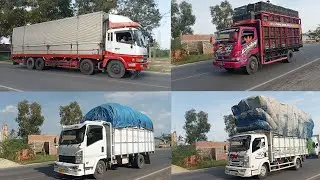 Truk Wing Box, Truk Ayam, Truk Singkong, Truk Mebel, Truk Tronton, Dumptruck, Truk Pasir, Pickup 