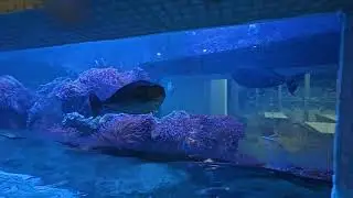 Canyon Wild River Water Slide Aquapalace Praha drive , waterpark , watertube , waterride , 2024/11