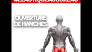 COMMENT MUSCLER ses FESSIERS EFFICACEMENT ? | OUVERTURE DE HANCHES #ELASTIQUEAUBUREAU - FIT BATMAN