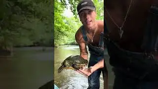 Robert Rausch🥵Compilation #daddy #fitness #lovisland