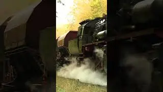 52 1360 mit schwerem G&uuml;terzug vorm F&ouml;rthaer Tunnel