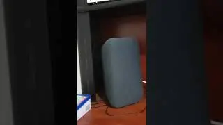 Google home with accessibility enabled for the blind and vision impaired