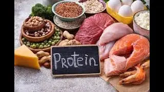 Revision on protein chemistry