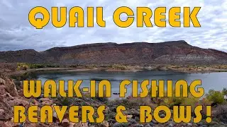 Quail Creek Reservoir: Walk-in Fishing - Beavers 🦫 & Bows 🌈 🎣 