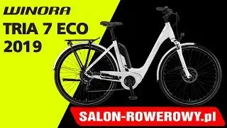 rower winora tria 7 eco 2019 www.salon-rowerowy.pl