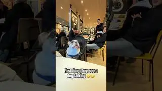 First time they see a dog talking 🤣🤣 #dog #funny #frenchbulldog #food