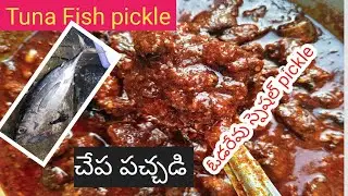 Tuna fish pickle with a bursting taste # fish pickle # fish pickle # Odareva Beach # fishpickles