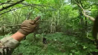 Weekend Warrior&rsquo;s 11 - LUŹNA GIERKA by ECHO FORCE
