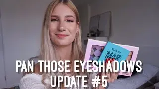 Pan Those Eyeshadows / Pan that Palette Roulette 2019 | Update #5