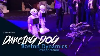 Boston Dynamics Spot Dancing Robot Dog | Walking Dog