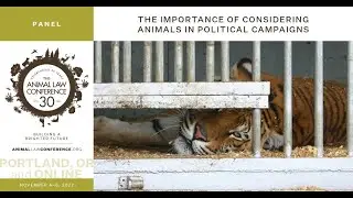 The Importance of Considering Animals in Political Campaigns