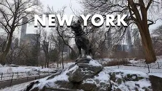 New York Winter Walk [4K] Central Park - Crunchy Ice & Snow