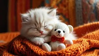 LIVE 🐾 Peaceful Cozy Radio for Cats 🐱