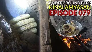 UNDERGROUND BEES : Kinalamyasang SARAY ng LAYWAN | San Pablo City, Laguna