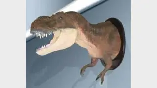 Dinosaur Bedroom Decor