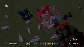Sweetiny's Big Fight!