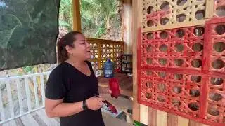 Painting the Varnish on the front Amacan | House of MIa Kaloka Home Improvements 5/5/24#house #fypシ