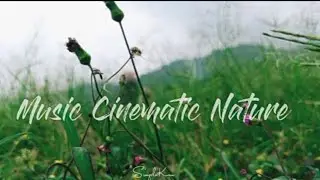 Natural Cinematic music | audio no copyright