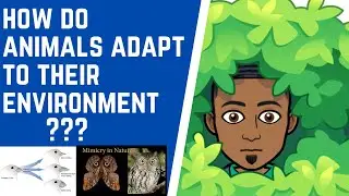 How Do Species Adapt to Their Environment???