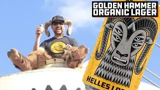 Crack Open A Lager With Altitude! | Golden Hammer Organic Lager | Beer Time | Hopworks