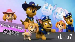 Chase & Skye moments | s1-s8