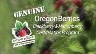 Genuine Oregon Blackberry and Marionberry Certification Program