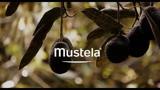 Our Star Organic Ingredients - Normal Skin: Avocado