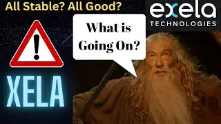 XELA Stock Update - Quiet and Stable?