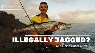 I stabbed this big fish in the back land based!
