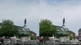 Panasonic Lumix S5 vs Panasonic Lumix G9 in the street videography