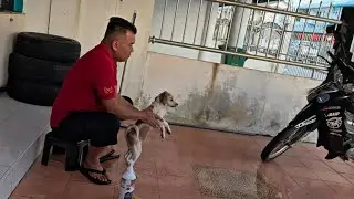 Sigi baka Style Koboi