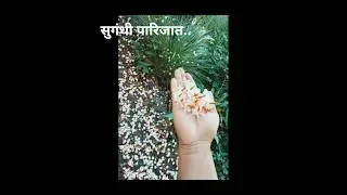 #bloomingnature