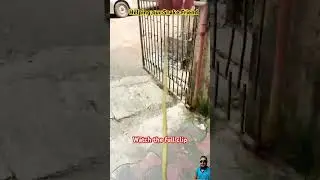 Rescue mission: Snake saved from hungry cat 🐈 #shorts #cat #animals #snake #trending #viral