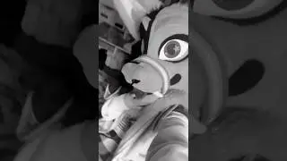 Hi! Hello? #furry #fursuit #therian #antizoo #fyp #cosplay #boost